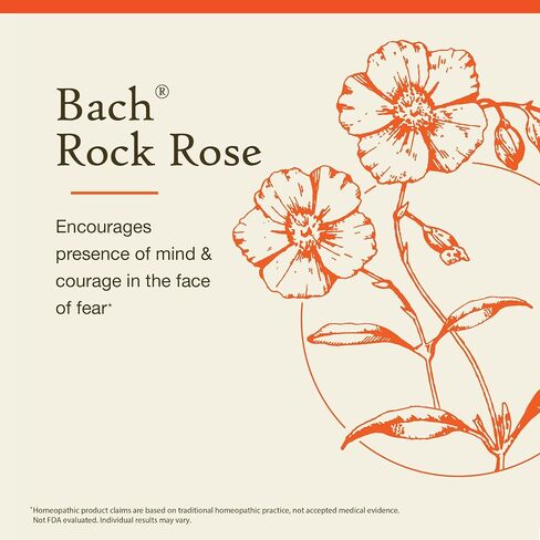 Bach Original Flower Remedies, Aspen for Apprehension and Security, Natural Homeopathic Flower Essence, Holistic Wellness, Vegan, 20mL Dropper in Kuwait