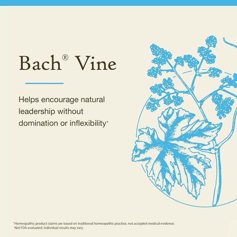 Bach Original Flower Remedies, Vine for Motivation (Non-Alcohol Formula), Natural Homeopathic Flower Essence, Holistic Wellness and Stress Relief, Vegan, 10mL Dropper in Saudi Arabia