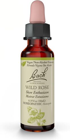 Bach Original Flower Remedies, Wild Rose for Enthusiasm (Non-Alcohol Formula), Natural Homeopathic Flower Essence, Holistic Wellness and Stress Relief, Vegan, 10mL Dropper in Saudi Arabia