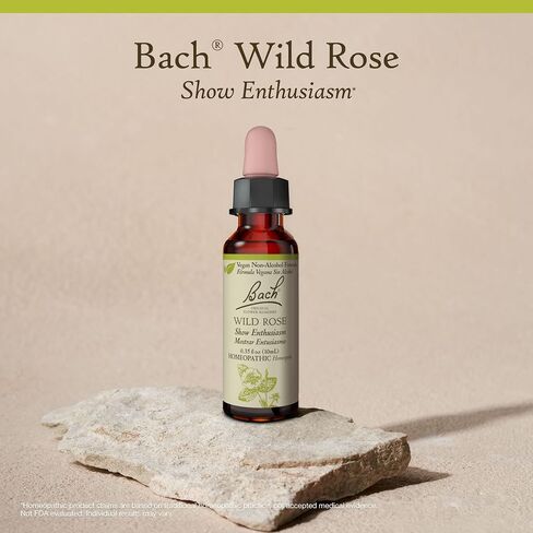Bach Original Flower Remedies, Wild Rose for Enthusiasm (Non-Alcohol Formula), Natural Homeopathic Flower Essence, Holistic Wellness and Stress Relief, Vegan, 10mL Dropper in Saudi Arabia