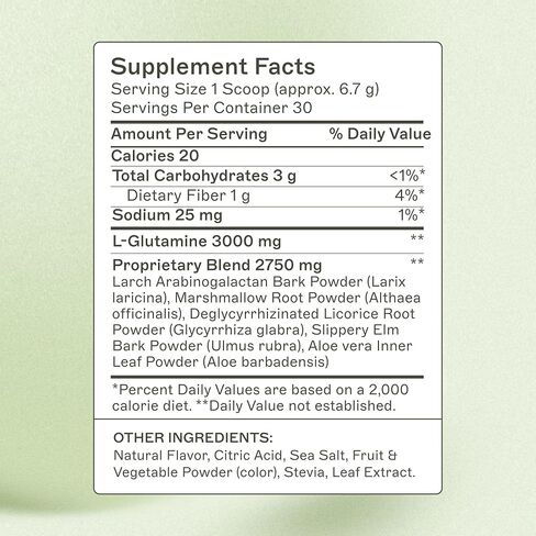 Dr. Amy Myers Revive Powder for Leaky Gut Repair – L Glutamine Powder to Reduce Symptoms Like Constipation, IBS, Diarrhea, Bloating – Plant Based Supplement to Maintain A Healthy Gut Lining in Saudi Arabia