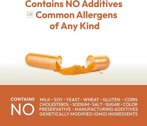ANDREW LESSMAN Turmeric 400-240 Capsules – 95% Curcuminoids as Phospholipid Complex for Optimum Benefits and Greater Absorption, High Potency Standardized Extract, Small Easy to Swallow Capsules in Saudi Arabia