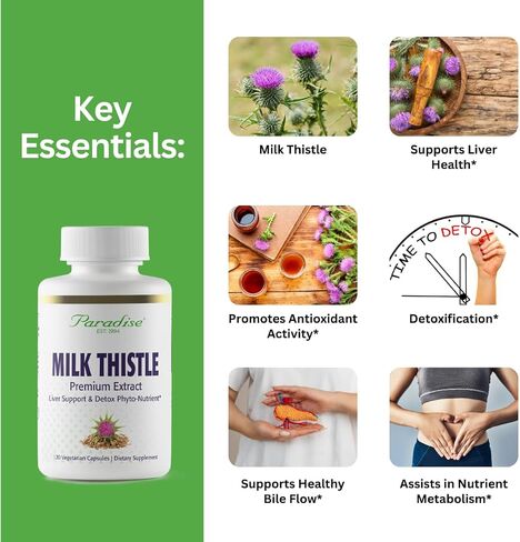 Paradise Herbs Milk Thistle، مستخلص كامل الطيف، نباتي، غير معدل وراثيًا، خالي من الغلوتين، 120 كبسولة نباتية in Saudi Arabia