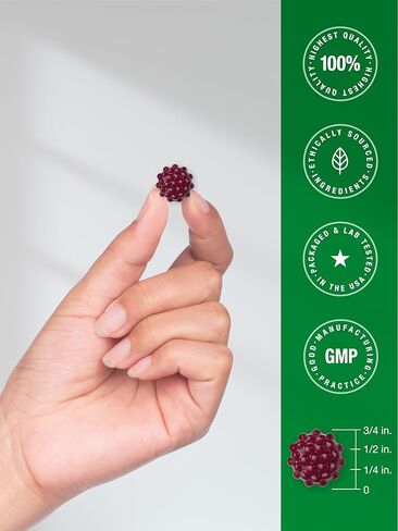 Sambucus Black Elderberry Gummies | 60 Count | with Zinc and Vitamin C | Vegan, Non-GMO, Gluten Free Extract for Adults | Natural Berry Flavor | by Horbaach in Saudi Arabia