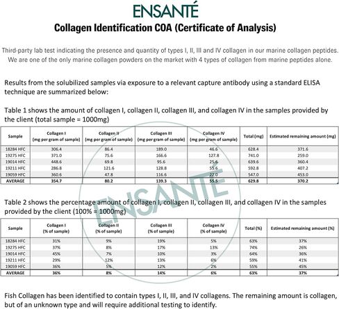 ENSANTE Premium Marine Collagen Peptides Powder Unflavored, Clinically Backed Type I II III IV Collagen, Wild Deep Sea Collagen with Organic Camu Camu Vitamin C for Hair Skin Nail Joint, Lab Tested in Saudi Arabia