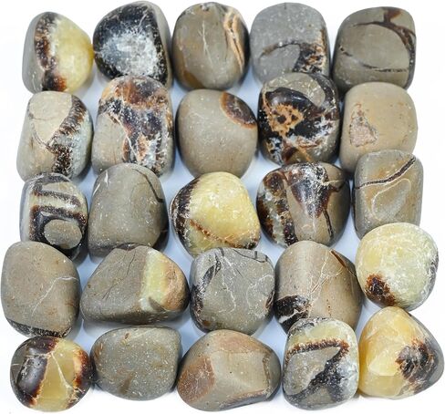 Crocon 1LB Petrified wood quartz tumbled stones and Crystals bulk 2000+ Carats Natural Kit for Reiki Healing Crystals Polished Tumble Stones Chakra Balancing Reiki Gift Home Décor DIY crafts in Kuwait