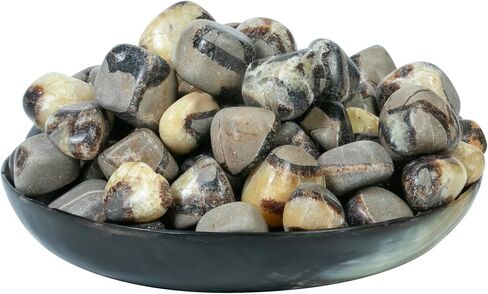 Crocon 1LB Petrified wood quartz tumbled stones and Crystals bulk 2000+ Carats Natural Kit for Reiki Healing Crystals Polished Tumble Stones Chakra Balancing Reiki Gift Home Décor DIY crafts in Kuwait