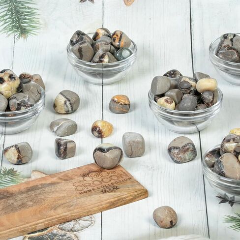 Crocon 1LB Petrified wood quartz tumbled stones and Crystals bulk 2000+ Carats Natural Kit for Reiki Healing Crystals Polished Tumble Stones Chakra Balancing Reiki Gift Home Décor DIY crafts in Kuwait