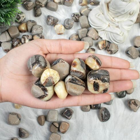 Crocon 1LB Petrified wood quartz tumbled stones and Crystals bulk 2000+ Carats Natural Kit for Reiki Healing Crystals Polished Tumble Stones Chakra Balancing Reiki Gift Home Décor DIY crafts in Kuwait