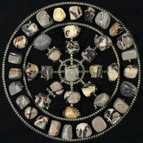 Crocon 1LB Petrified wood quartz tumbled stones and Crystals bulk 2000+ Carats Natural Kit for Reiki Healing Crystals Polished Tumble Stones Chakra Balancing Reiki Gift Home Décor DIY crafts in Kuwait
