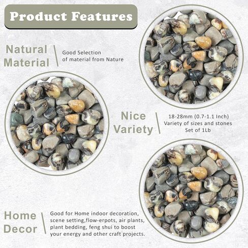 Crocon 1LB Petrified wood quartz tumbled stones and Crystals bulk 2000+ Carats Natural Kit for Reiki Healing Crystals Polished Tumble Stones Chakra Balancing Reiki Gift Home Décor DIY crafts in Kuwait
