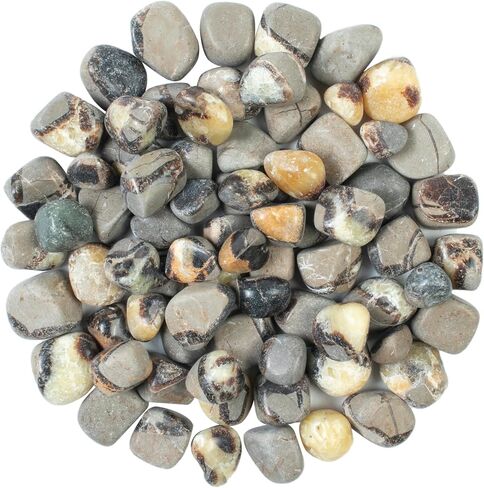 Crocon 1LB Petrified wood quartz tumbled stones and Crystals bulk 2000+ Carats Natural Kit for Reiki Healing Crystals Polished Tumble Stones Chakra Balancing Reiki Gift Home Décor DIY crafts in Kuwait