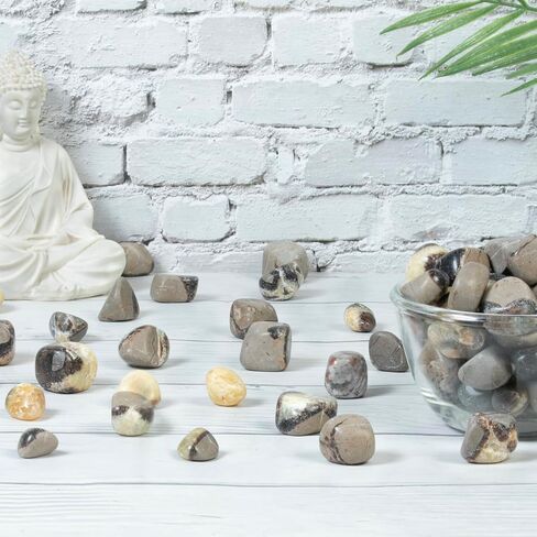 Crocon 1LB Petrified wood quartz tumbled stones and Crystals bulk 2000+ Carats Natural Kit for Reiki Healing Crystals Polished Tumble Stones Chakra Balancing Reiki Gift Home Décor DIY crafts in Kuwait