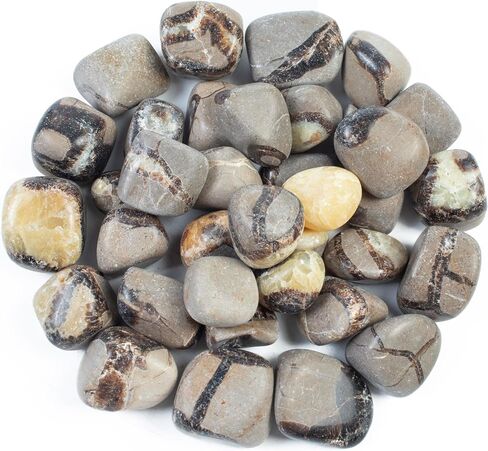 Crocon 1LB Petrified wood quartz tumbled stones and Crystals bulk 2000+ Carats Natural Kit for Reiki Healing Crystals Polished Tumble Stones Chakra Balancing Reiki Gift Home Décor DIY crafts in Kuwait
