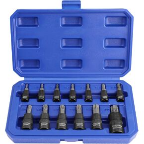 WORKPRO Torx Bit Socket Set, 1/4", 3/8" and 1/2" Drive Torx Bits 13-Piece Socket Set T8-T60, Premium S2 Steel Bits and CR-V Sockets with Storage Case