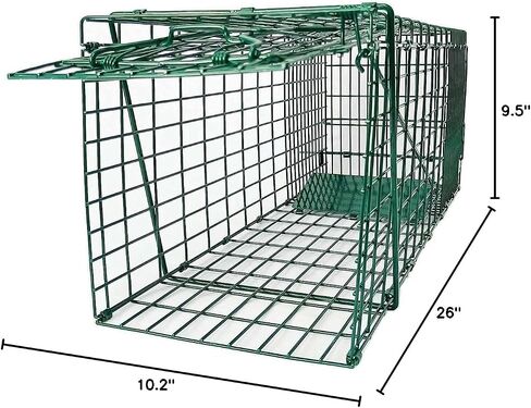 Collapsible Humane Live Animal Cage Trap No-Kill Trapping Kit for Humane Catch Release Rabbits, Stray Cat, Squirrel, Raccoon, All Fit Sized Animals, Heavy Duty, 2-Door 26" x 9.5" x 10.2", Hidden Green in Saudi Arabia