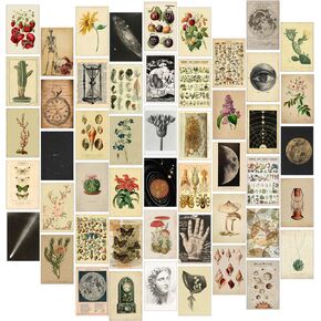 Vintage Decor for Vintage Room Decor Aesthetic, 100pcs Pictures for Room Decor Aesthetic Vintage, Wall Collage Kit Aesthetic Pictures for Vintage Wall Decor, Vintage Stickers, Vintage Bedroom Decor