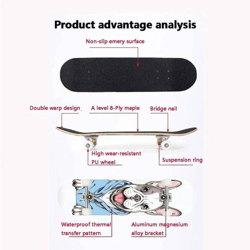 Skateboards for Beginners Teens Adults French Bulldog Happy Dog Sketch Image Printing on Any Surface 31 X 8 Complete Standard Skate Board, Outdoor Sports Maple Double Kick Concave Skateboard in Saudi Arabia