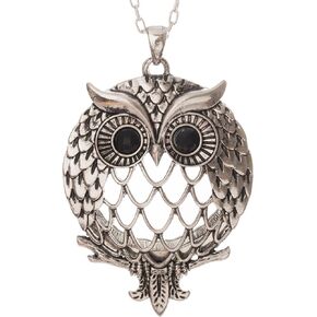 Owl Magnifier Magnifying Glass Sliding Top Magnet Pendant Necklace, 30" in Kuwait