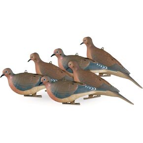 Avery Mourning Doves 6 Pack