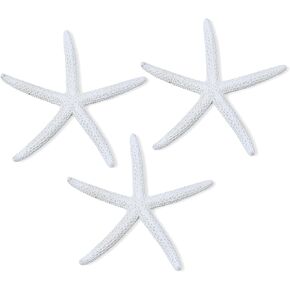 NIIIYTYB 3Pack Large White Starfish Decorations Real Sea Starfish for Crafts Bulk Nautical Ornaments Big Star Fish Shells for Wedding Decor Birthday Party Balloons and Sea Themed Decorations (4-6 in)