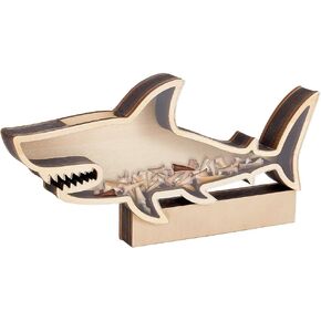 Pandahall Shark Teeth Display حامل - مربع عرض للزخارف المنزلية ، تخزين الأحجار الكريمة ، الصدف - 10.6x5.3x1.2 بوصة