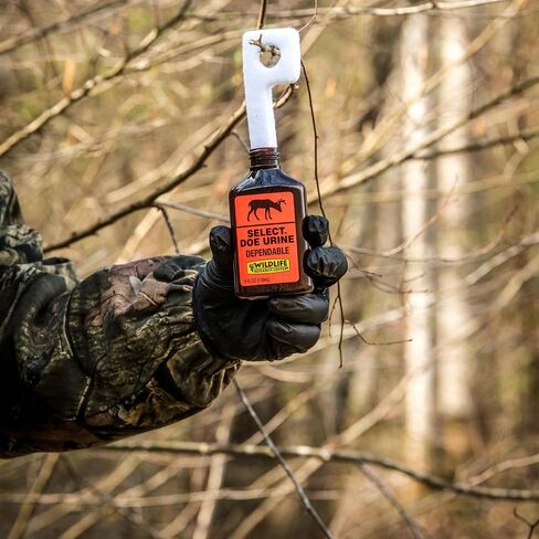 Wildlife Research 410 Select Doe Urine Whitetail Deer Attractor (1-Fluid Ounce), Amber in Saudi Arabia