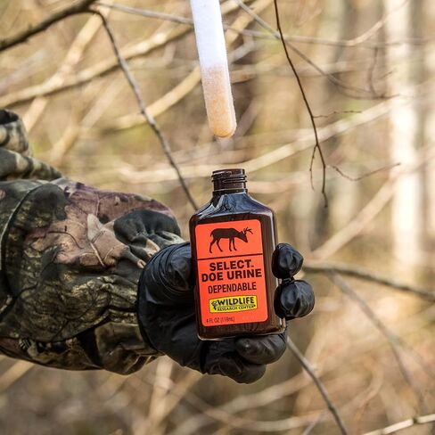 Wildlife Research 410 Select Doe Urine Whitetail Deer Attractor (1-Fluid Ounce), Amber in Saudi Arabia