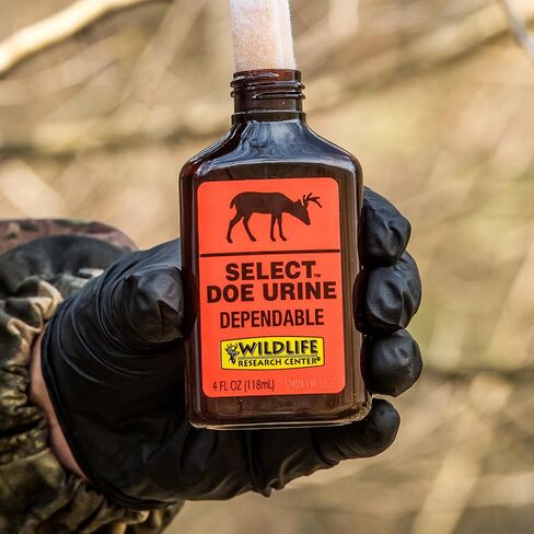 Wildlife Research 410 Select Doe Urine Whitetail Deer Attractor (1-Fluid Ounce), Amber in Saudi Arabia