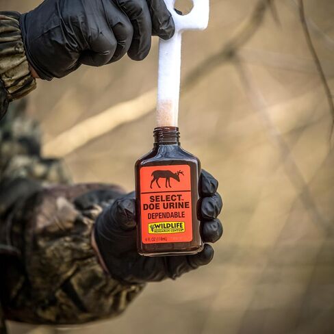 Wildlife Research 410 Select Doe Urine Whitetail Deer Attractor (1-Fluid Ounce), Amber in Saudi Arabia