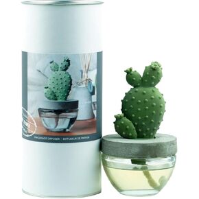 Reed Diffuser Set, Pretty Valley Home Succulent Gypsum Ceramic Fragrance Diffuser - 120Ml / 4.05fl OZ Gift Box for Bathroom Office Bathroom Living Room Decor, Long Lasting Fragrance (Cutting Grass)