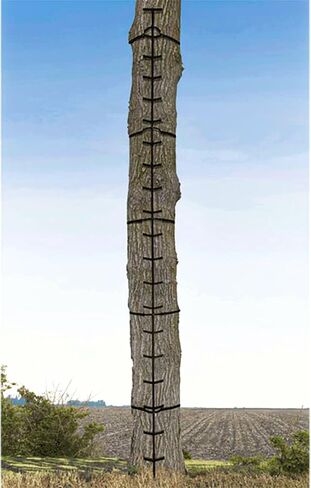 Muddy Outdoors Quick-Stick XL Climbing Sticks for Tree Climbing - 20' Tall / 5 Sections / 48'' Height Per Section, Black in Kuwait