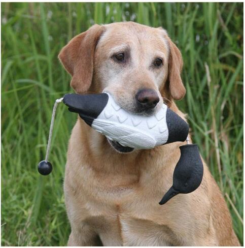 Banded Avery Sporting Dog EZ-Bird Wood Duck Training Dummy - 02032 in Saudi Arabia