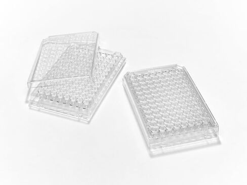 Caplugs Evergreen 290-8117-01R 96-Well Microplates مع قيعان مستديرة (U). بوليسترين، طبيعي، عبوة صندوقية (عبوة من 100 قطعة) in Kuwait
