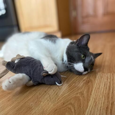 Ethical Pets 52085 Big Mouse Bertha Catnip Toys in Kuwait