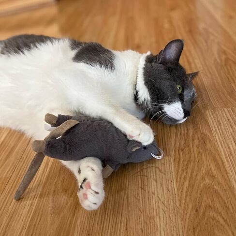 Ethical Pets 52085 Big Mouse Bertha Catnip Toys in Kuwait