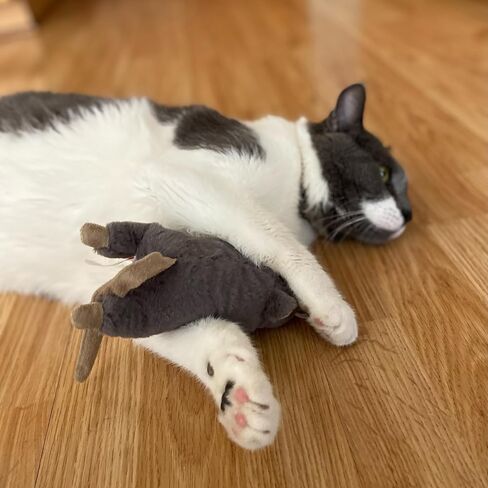 Ethical Pets 52085 Big Mouse Bertha Catnip Toys in Kuwait