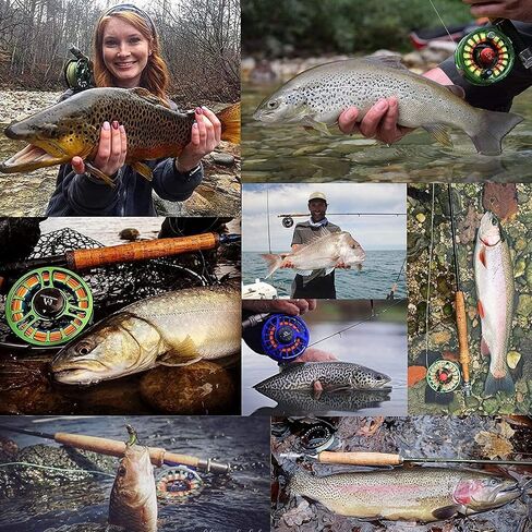 M MAXIMUMCATCH Maxcatch Double Taper Floating Fly Fishing Line: 2-8F, 100 ft Orange, Moss Green. Fluo Yellow in Kuwait