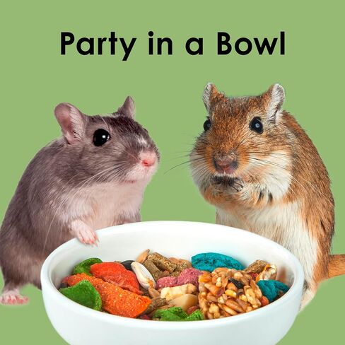 Kaytee Fiesta Pet Hamster And Gerbil Food, 4.5 Pound in Saudi Arabia