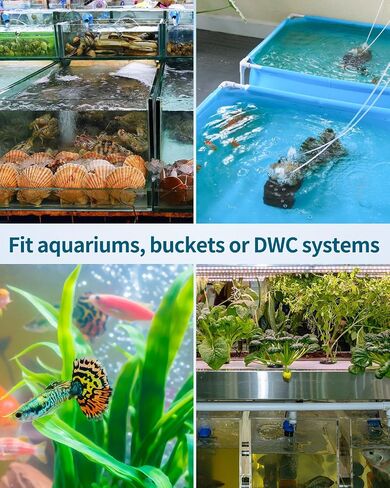 Pawfly Aquarium 40 GPH Compact Air Pump Quiet Oxygen Aerator Pump with Air Stone Airline Tubing and Check Valve Accessories for 5-20 Gallon Buckets and Fish Tanks in Saudi Arabia