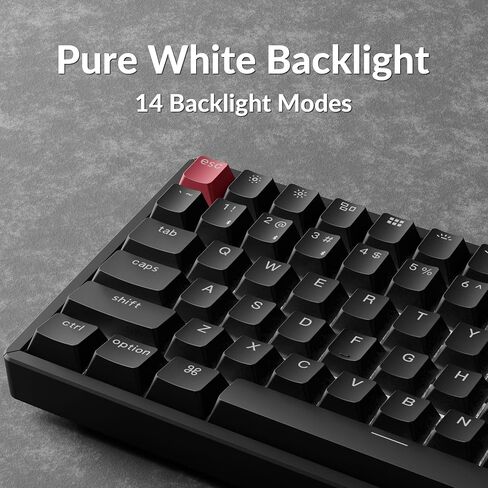 Keychron K2 75٪ تخطيط لوحة مفاتيح ميكانيكية لاسلكية بلوتوث قابلة للتبديل السريع لنظام التشغيل Mac Windows، لوحة مفاتيح كمبيوتر سلكية متعددة المهام من النوع C مكونة من 84 مفتاحًا مع إطار من الألومنيوم بمفتاح أزرق ميكانيكي Keychron in Kuwait