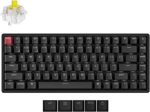 Keychron K2 75٪ تخطيط لوحة مفاتيح ميكانيكية لاسلكية بلوتوث قابلة للتبديل السريع لنظام التشغيل Mac Windows، لوحة مفاتيح كمبيوتر سلكية متعددة المهام من النوع C مكونة من 84 مفتاحًا مع إطار من الألومنيوم بمفتاح أزرق ميكانيكي Keychron in Kuwait