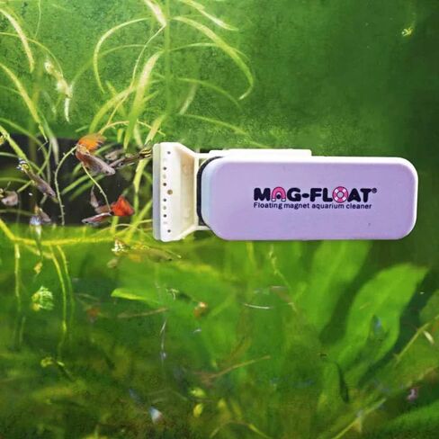 Mag-Float Medium Glass Floating Algae Scraper 125 | Magfloat Magnetic Fish Tank Cleaner | Magnet Scrubber Brush Cleaning Tool for Aquarium in Saudi Arabia