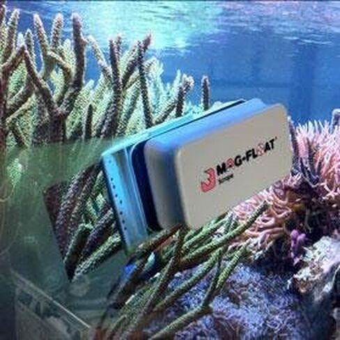 Mag-Float Medium Glass Floating Algae Scraper 125 | Magfloat Magnetic Fish Tank Cleaner | Magnet Scrubber Brush Cleaning Tool for Aquarium in Saudi Arabia