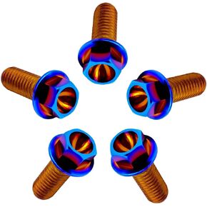 Rison Titanium Bolts Titanium Flanged Hex Head Bolt M10x1.25x20mm 6AL4V Aerospace Grade Ti Bolt Black Titanium Bolt for Motorcycle Car Modification Pack of 5 in Saudi Arabia