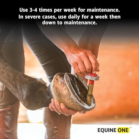 ضمادة حافر طبيعية من Mineral Medix Equine One - منتج طبيعي 100% للعناية بالحافر - الخراجات || القلاع || الخط الأبيض || ربع كراك، كمية تكفي 280 يومًا، 1 جالون in Kuwait