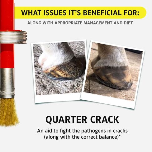 ضمادة حافر طبيعية من Mineral Medix Equine One - منتج طبيعي 100% للعناية بالحافر - الخراجات || القلاع || الخط الأبيض || ربع كراك، كمية تكفي 280 يومًا، 1 جالون in Kuwait