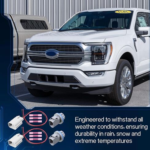 2 Pcs Rear License Plate Light Lamp Bulb Socket Connector Wiring Pigtail Harness Kit Fit for F-150 2004-2021 Ranger 1998-2011 Explorer 2006-2010 F81Z-13411-AA AL8Z-13411-B in Saudi Arabia