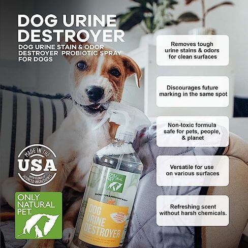 Only Natural Pet Advanced Dog Stain + Odor Remover with Oxy, All-Natural Professional Strength Enzymatic Cleaner - Pet Stain and Urine Odor Remover- 32 Fl Oz in Kuwait