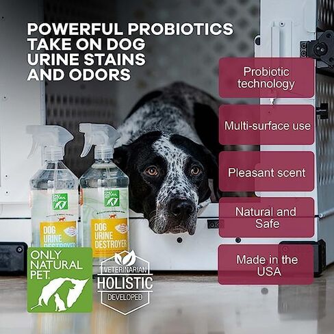 Only Natural Pet Advanced Dog Stain + Odor Remover with Oxy, All-Natural Professional Strength Enzymatic Cleaner - Pet Stain and Urine Odor Remover- 32 Fl Oz in Kuwait